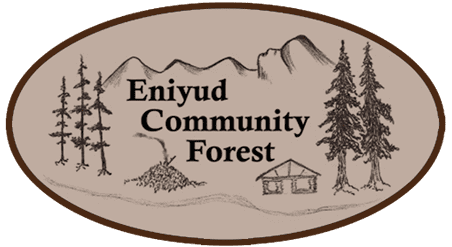Eniyud Community Forest