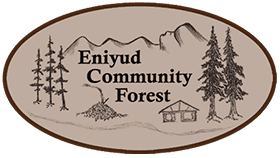 Eniyud Community Forest